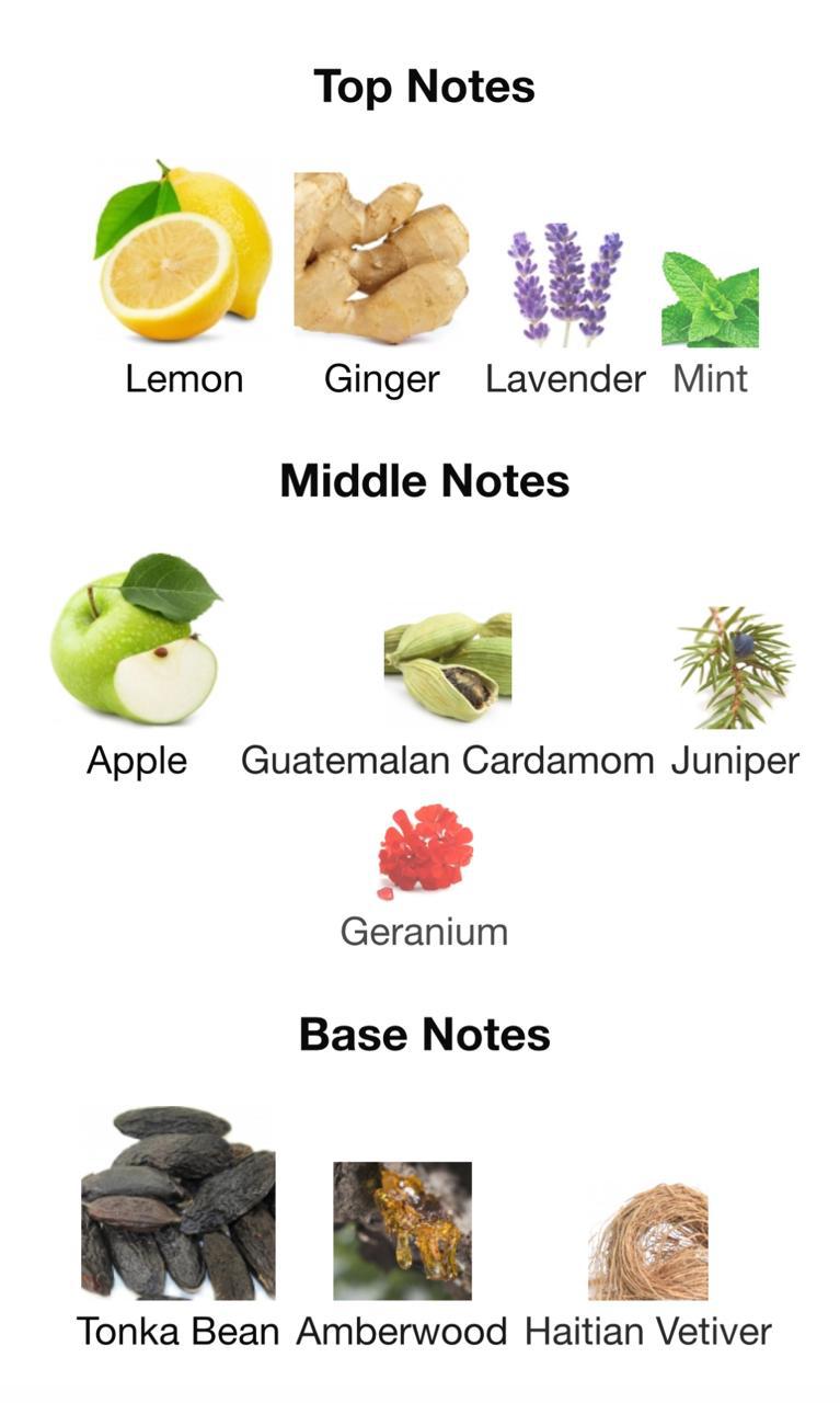 Zarro "Energetic. Bold. Timeless."