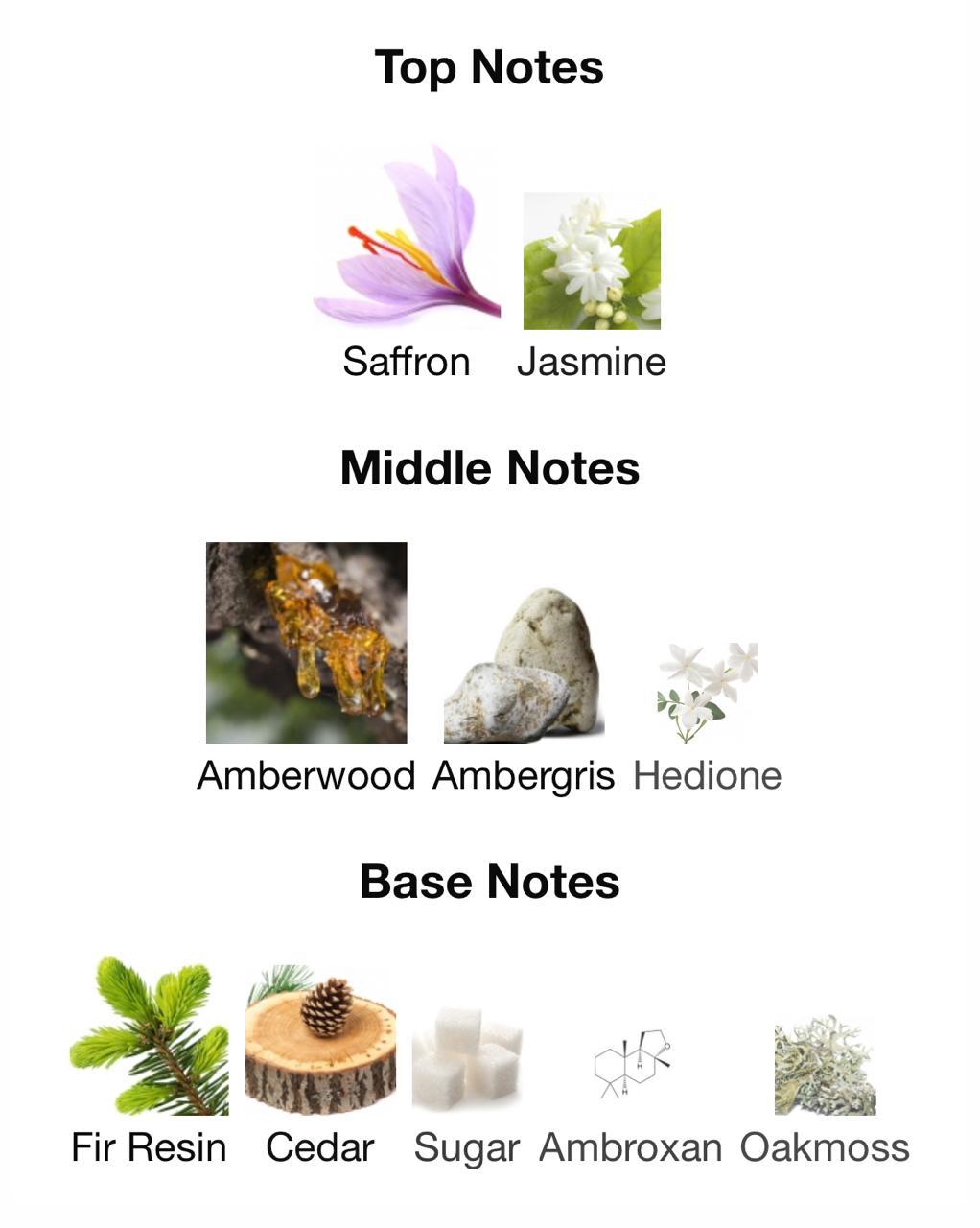 Shadow  “Bold Depth. Mysterious Vibe.”